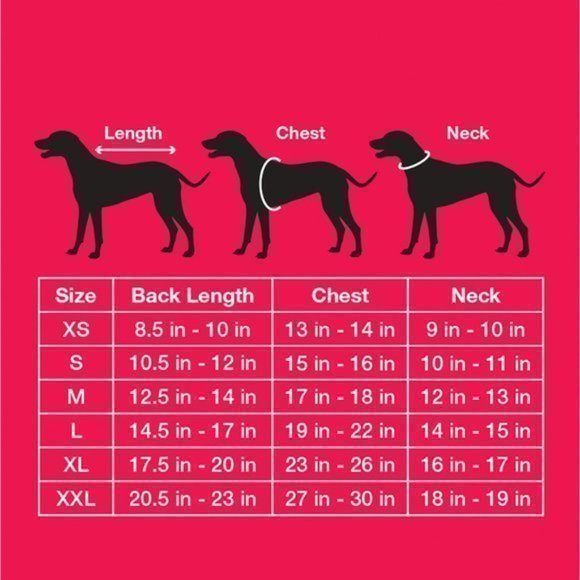 Pet-XL - Picture 5 of 5